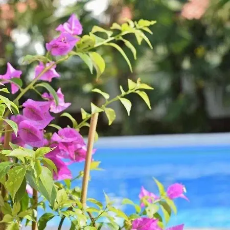 In With Sea View, Balcony, Air Conditioning, Wlan 819-6 Apartman *