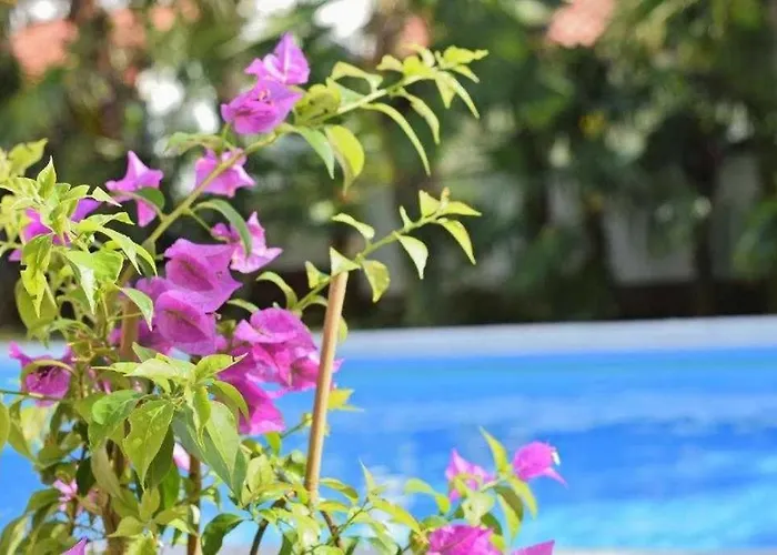 In With Sea View, Balcony, Air Conditioning, Wlan 819-6 Lejlighed *